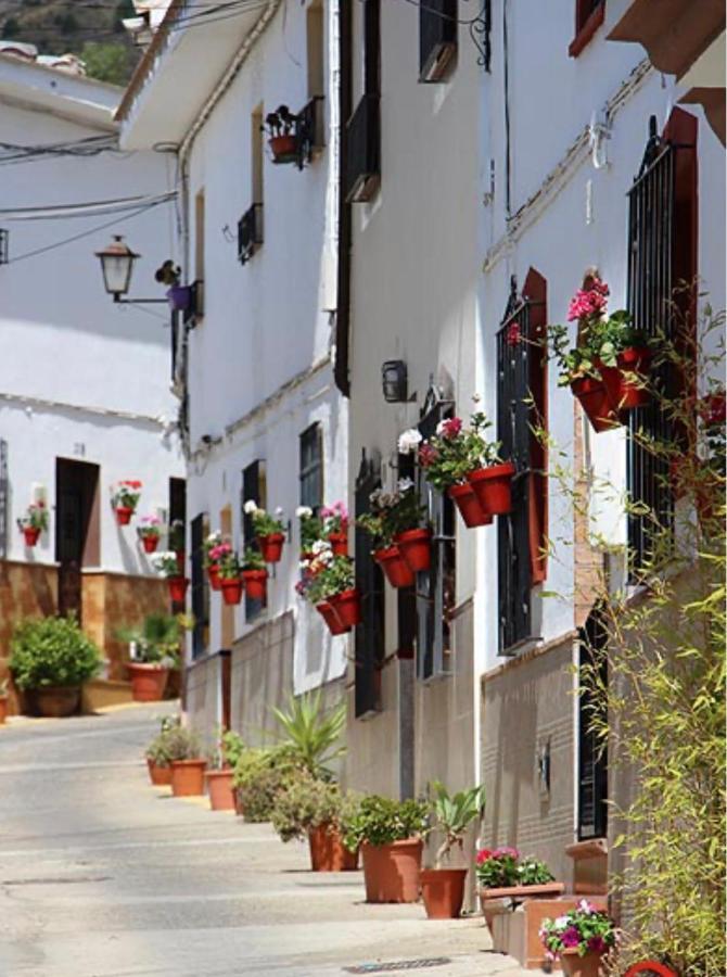 Mirasierrahome... Tu Hogar De Vacaciones! Alora Extérieur photo